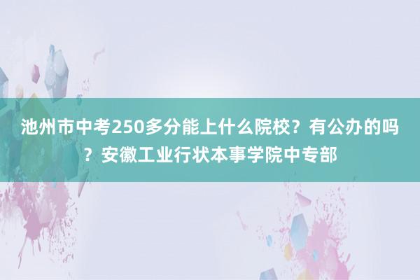 池州市中考250多分能上什么院校？有公办的吗？安徽工业行状本事学院中专部