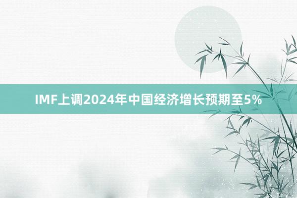 IMF上调2024年中国经济增长预期至5%