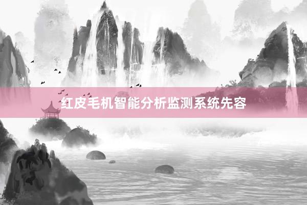 红皮毛机智能分析监测系统先容