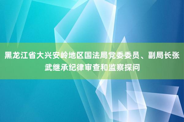 黑龙江省大兴安岭地区国法局党委委员、副局长张武继承纪律审查和监察探问